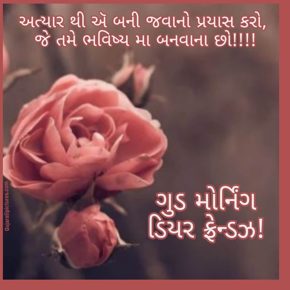 Good morning dear friends - Gujarati Pictures – Website Dedicated ...