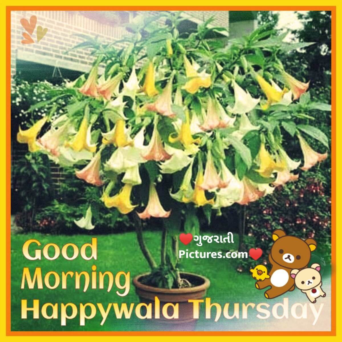 Happywala Thursday