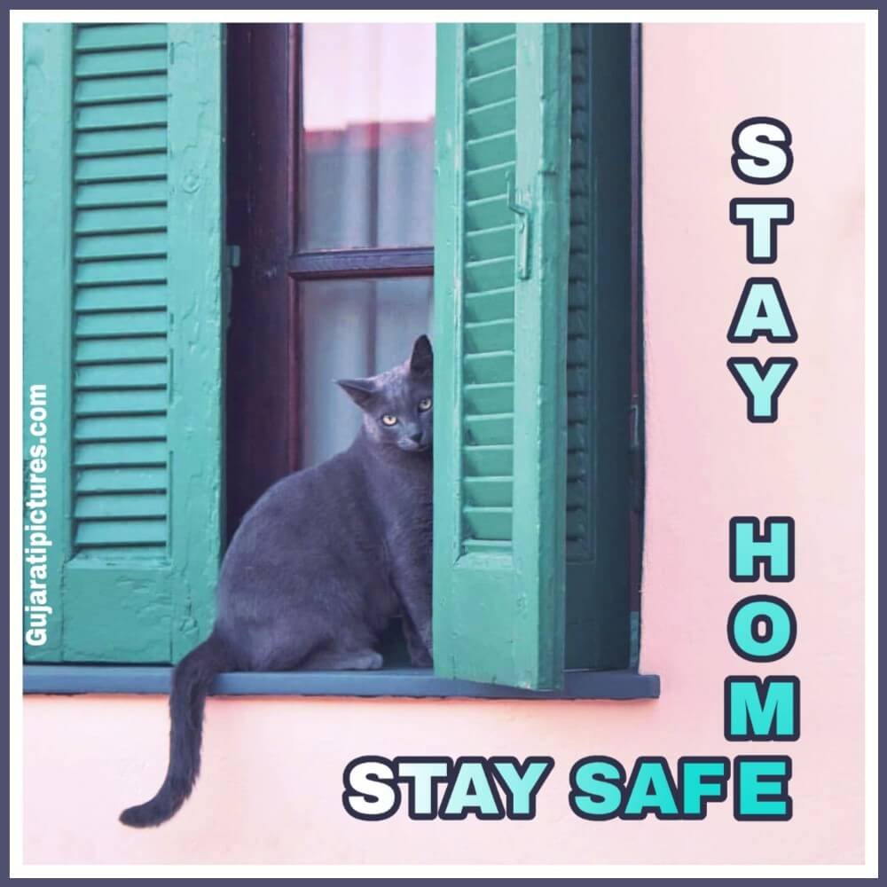 Stay Home ,stay Safe
