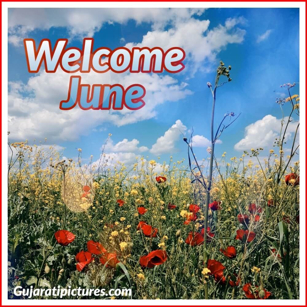 Welcome June Month E1496225459573