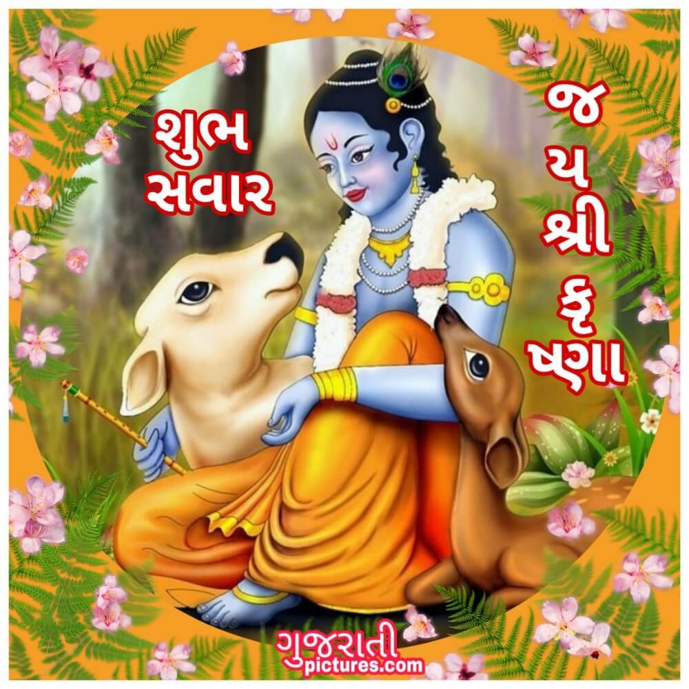 Shri Krishna (શ્રી કૃષ્ણ) - Gujarati Pictures – Website ...