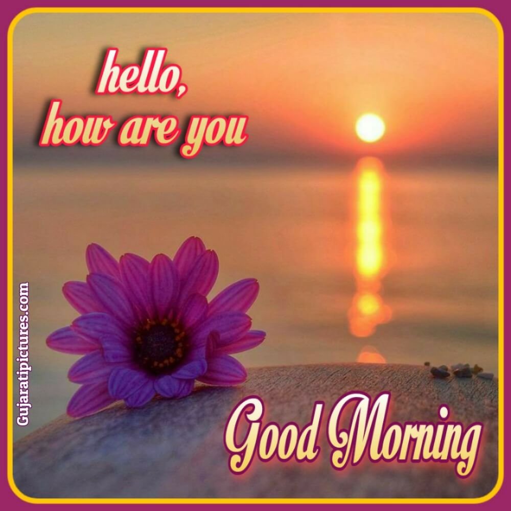 Good Morning Messages - Gujarati Pictures – Website Dedicated to ...