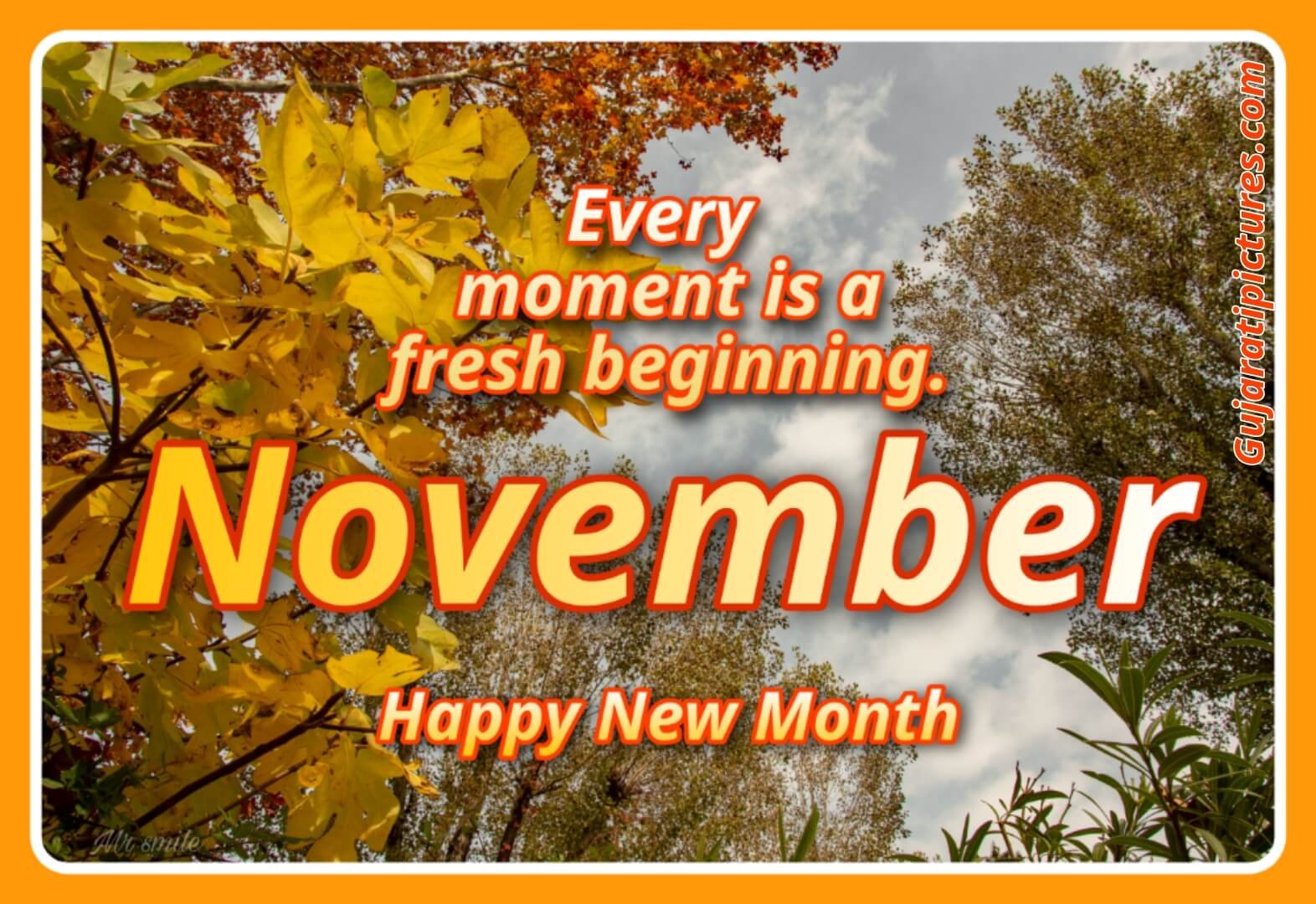 November Month Wish Photo