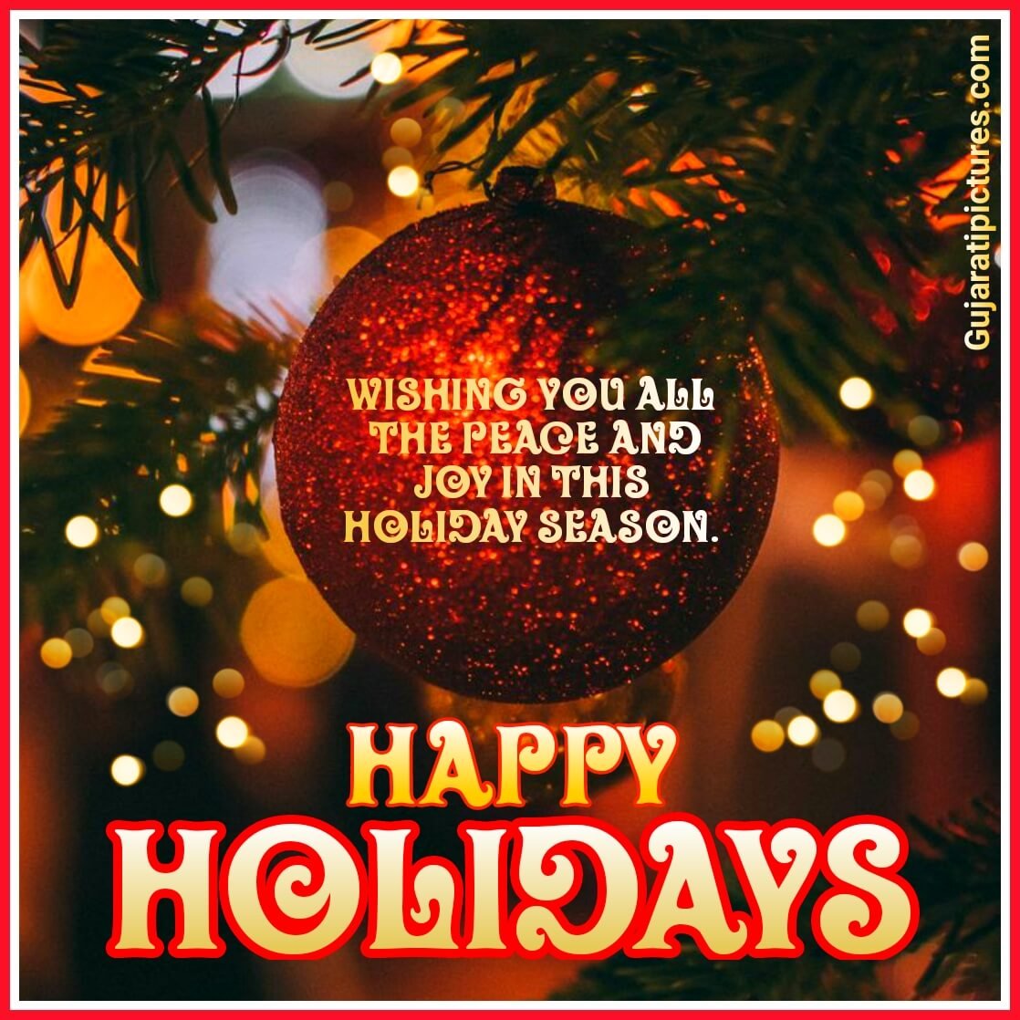 Happy Holidays Message Pic